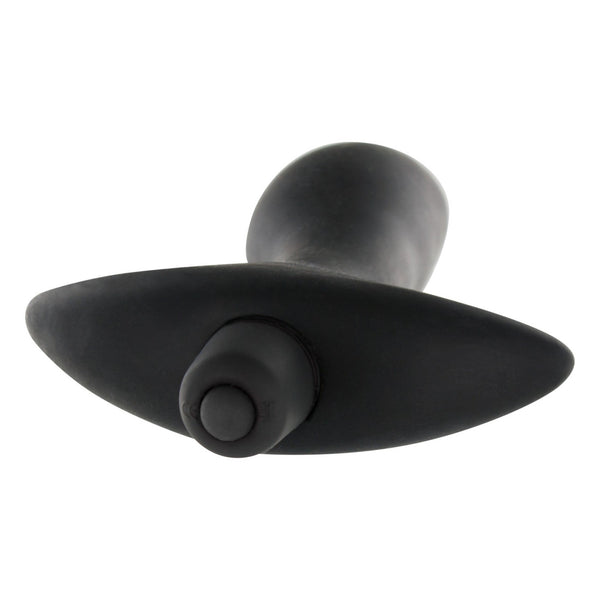 アナルプレイ プライベートダンサー バイブレーションプラグ