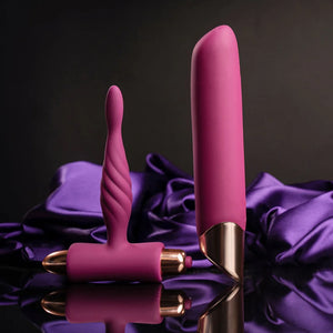 Climaximum Rapture Starter Butt Plug & Rechargeable Vibrator Set