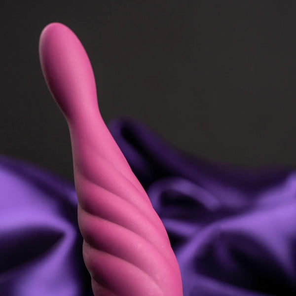 Climaximum Rapture Starter Butt Plug & Rechargeable Vibrator Set