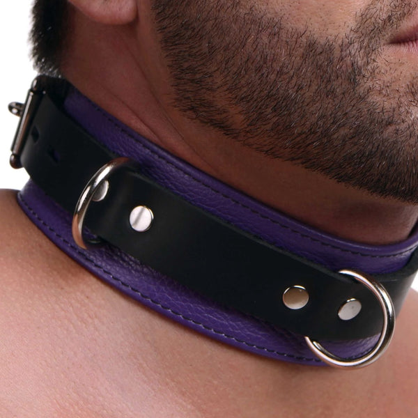 Leather Purple and Black Deluxe Locking Collar