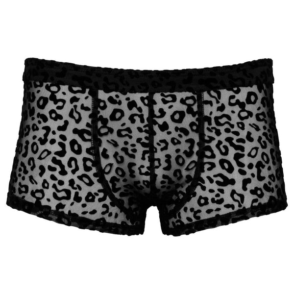 NOIR Handmade Leopard Flock Shorts (4 SIzes Available) - Extreme Toyz Singapore - https://extremetoyz.com.sg - Sex Toys and Lingerie Online Store - Bondage Gear / Vibrators / Electrosex Toys / Wireless Remote Control Vibes / Sexy Lingerie and Role Play / BDSM / Dungeon Furnitures / Dildos and Strap Ons  / Anal and Prostate Massagers / Anal Douche and Cleaning Aide / Delay Sprays and Gels / Lubricants and more...