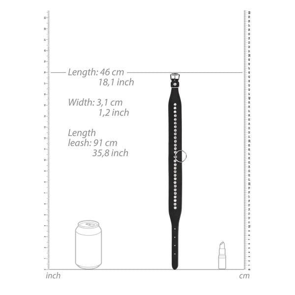 痛い！ダイヤモンドをちりばめた首輪とリード