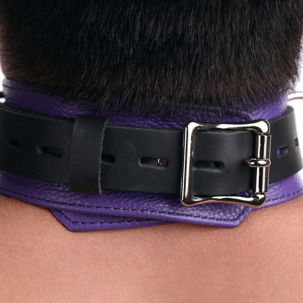 Leather Purple and Black Deluxe Locking Collar