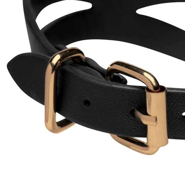 Black & Gold Collar with Leash Kit