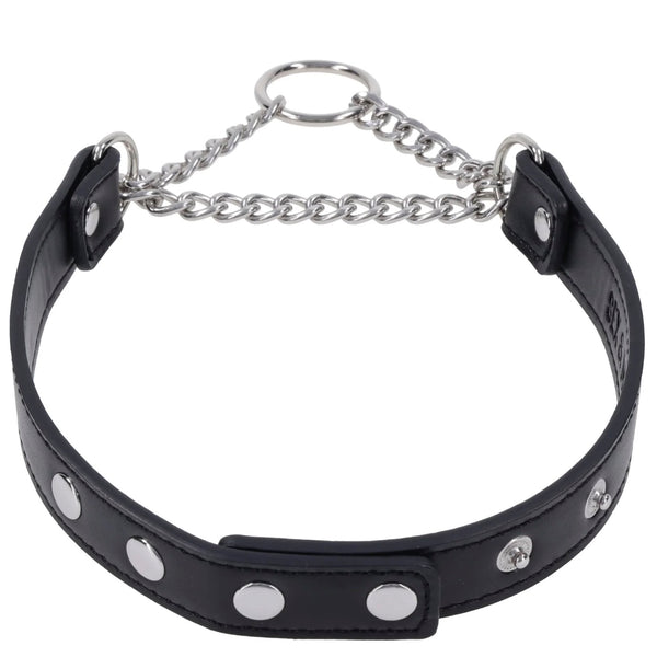 Sex & Mischief: Shadow Day Collar