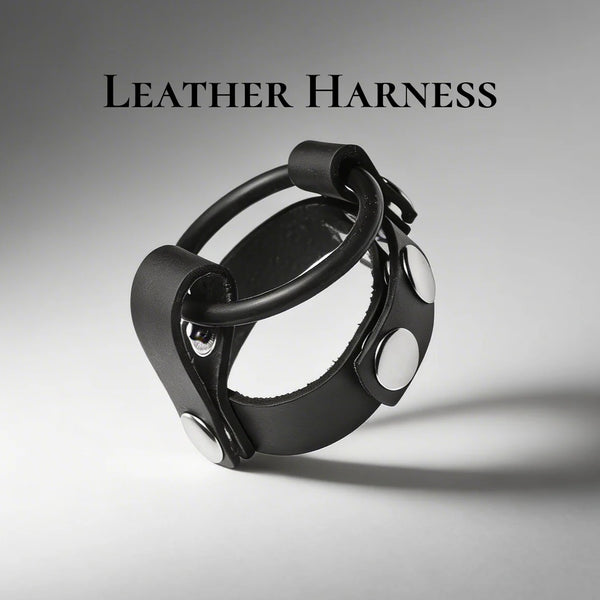 Leather Cock Ring Harness