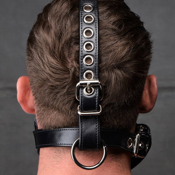 Leather Bishop Head Harness w/ Removable Gag