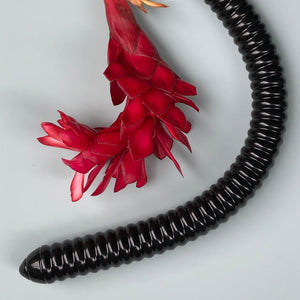 Hosed 19" Ribbed Anal Snake - Extreme Toyz Singapore - https://extremetoyz.com.sg - Sex Toys and Lingerie Online Store - Bondage Gear / Vibrators / Electrosex Toys / Wireless Remote Control Vibes / Sexy Lingerie and Role Play / BDSM / Dungeon Furnitures / Dildos and Strap Ons  / Anal and Prostate Massagers / Anal Douche and Cleaning Aide / Delay Sprays and Gels / Lubricants and more...