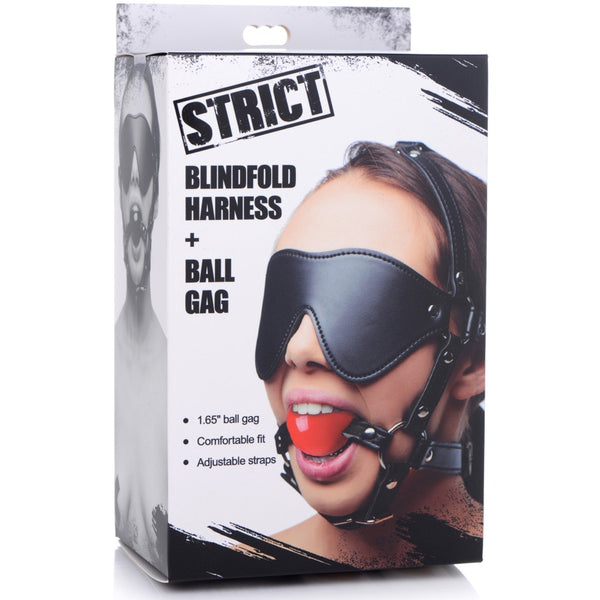 Blindfold Harness and Ball Gag