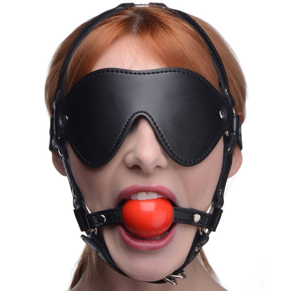 Blindfold Harness and Ball Gag