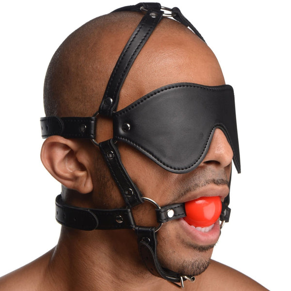 Blindfold Harness and Ball Gag