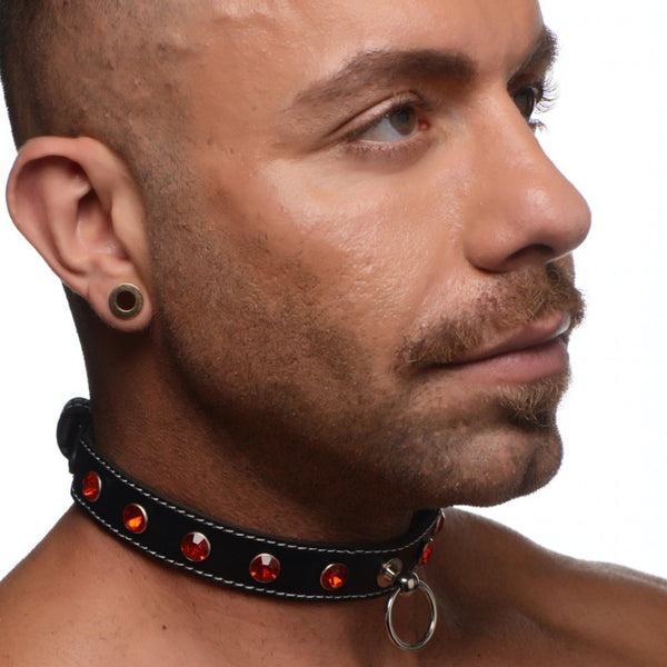 STRICT Rhinestone Choker with O-Ring - Extreme Toyz Singapore - https://extremetoyz.com.sg - Sex Toys and Lingerie Online Store - Bondage Gear / Vibrators / Electrosex Toys / Wireless Remote Control Vibes / Sexy Lingerie and Role Play / BDSM / Dungeon Furnitures / Dildos and Strap Ons &nbsp;/ Anal and Prostate Massagers / Anal Douche and Cleaning Aide / Delay Sprays and Gels / Lubricants and more...