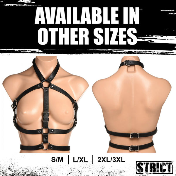 STRICT Female Chest Harness (3 Sizes Available) - Extreme Toyz Singapore - https://extremetoyz.com.sg - Sex Toys and Lingerie Online Store - Bondage Gear / Vibrators / Electrosex Toys / Wireless Remote Control Vibes / Sexy Lingerie and Role Play / BDSM / Dungeon Furnitures / Dildos and Strap Ons  / Anal and Prostate Massagers / Anal Douche and Cleaning Aide / Delay Sprays and Gels / Lubricants and more...