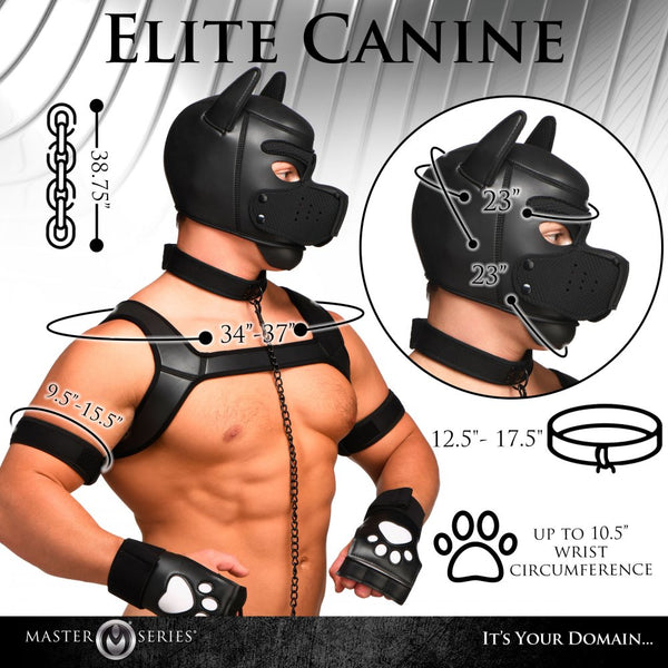 Master Series 9 Piece Deluxe Pup Arsenal Set - Extreme Toyz Singapore - https://extremetoyz.com.sg - Sex Toys and Lingerie Online Store - Bondage Gear / Vibrators / Electrosex Toys / Wireless Remote Control Vibes / Sexy Lingerie and Role Play / BDSM / Dungeon Furnitures / Dildos and Strap Ons  / Anal and Prostate Massagers / Anal Douche and Cleaning Aide / Delay Sprays and Gels / Lubricants and more...