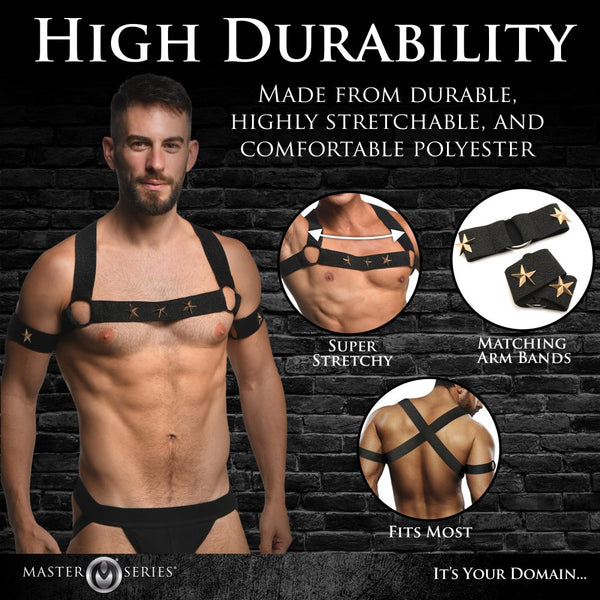 Master Series Rave Harness Elastic Chest Harness with Arm Bands (2 Sizes Available) - Extreme Toyz Singapore - https://extremetoyz.com.sg - Sex Toys and Lingerie Online Store - Bondage Gear / Vibrators / Electrosex Toys / Wireless Remote Control Vibes / Sexy Lingerie and Role Play / BDSM / Dungeon Furnitures / Dildos and Strap Ons  / Anal and Prostate Massagers / Anal Douche and Cleaning Aide / Delay Sprays and Gels / Lubricants and more...