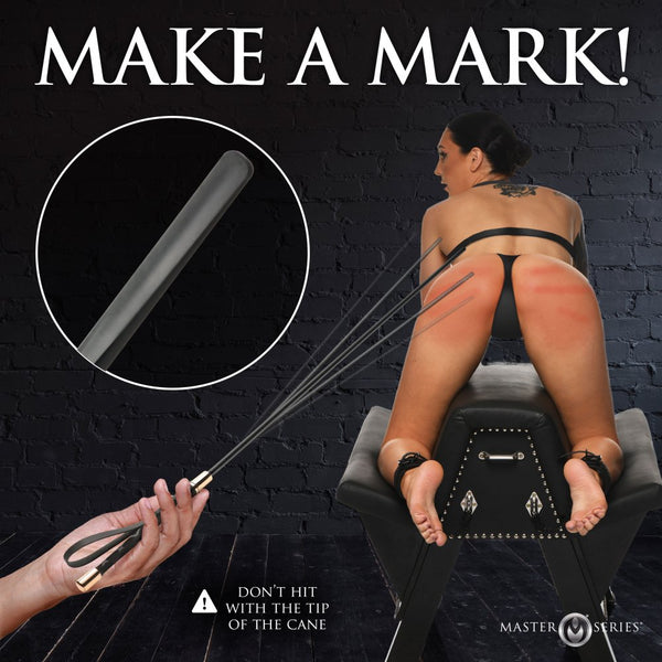 Master Series Sinful Impact Cane - Extreme Toyz Singapore - https://extremetoyz.com.sg - Sex Toys and Lingerie Online Store - Bondage Gear / Vibrators / Electrosex Toys / Wireless Remote Control Vibes / Sexy Lingerie and Role Play / BDSM / Dungeon Furnitures / Dildos and Strap Ons &nbsp;/ Anal and Prostate Massagers / Anal Douche and Cleaning Aide / Delay Sprays and Gels / Lubricants and more...