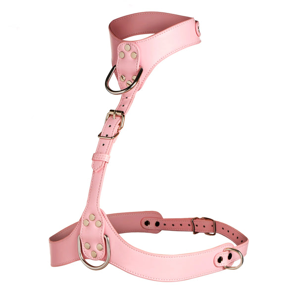 Vixen Female Chest Harness - Pink