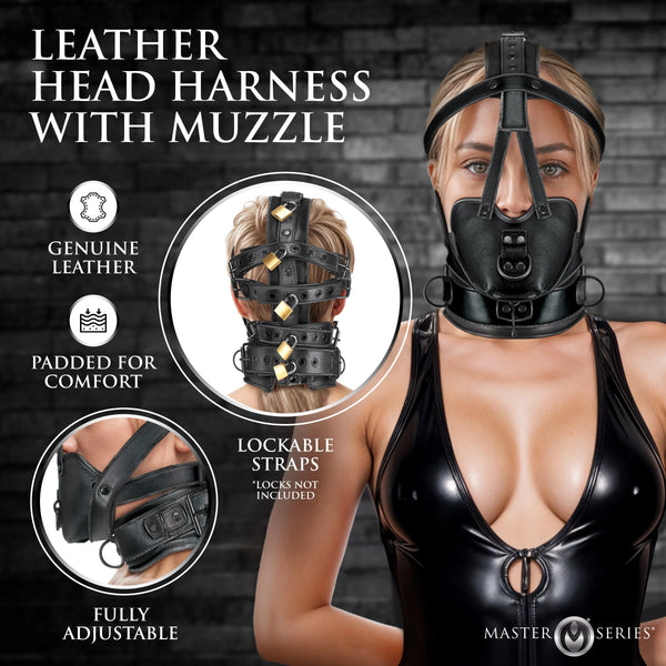 Lockable Head Harness With Muzzle - Genuine Leather