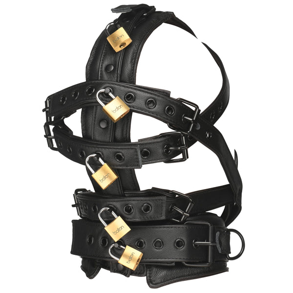 Lockable Head Harness With Muzzle - Genuine Leather