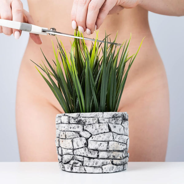 Classic Brands COOCHY Oh So Smooth Key Lime Pie Shave Cream - 100ml - Extreme Toyz Singapore - https://extremetoyz.com.sg - Sex Toys and Lingerie Online Store - Bondage Gear / Vibrators / Electrosex Toys / Wireless Remote Control Vibes / Sexy Lingerie and Role Play / BDSM / Dungeon Furnitures / Dildos and Strap Ons &nbsp;/ Anal and Prostate Massagers / Anal Douche and Cleaning Aide / Delay Sprays and Gels / Lubricants and more...