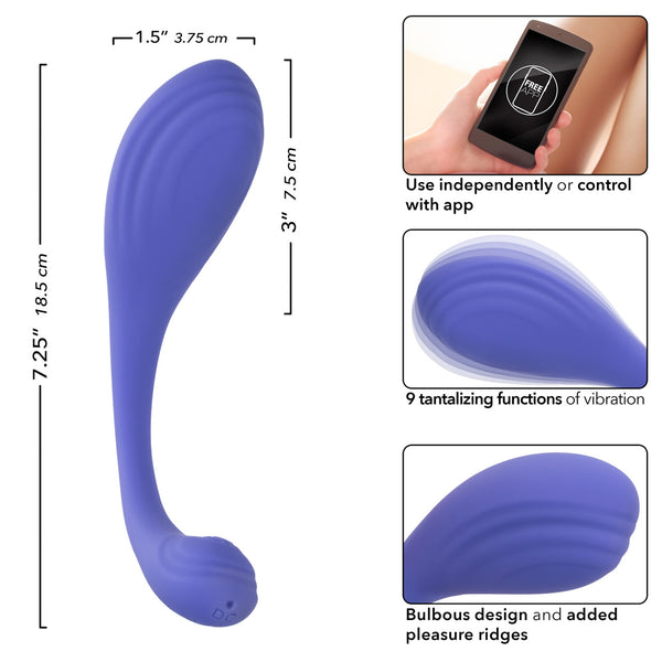 CalExotics Connect Kegel Exerciser Rechargeable App-Controlled Vibrator - Extreme Toyz Singapore - https://extremetoyz.com.sg - Sex Toys and Lingerie Online Store - Bondage Gear / Vibrators / Electrosex Toys / Wireless Remote Control Vibes / Sexy Lingerie and Role Play / BDSM / Dungeon Furnitures / Dildos and Strap Ons &nbsp;/ Anal and Prostate Massagers / Anal Douche and Cleaning Aide / Delay Sprays and Gels / Lubricants and more...
