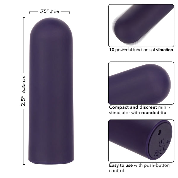 Turbo Buzz 10-Function Rechargeable Rounded Mini Bullet - Purple