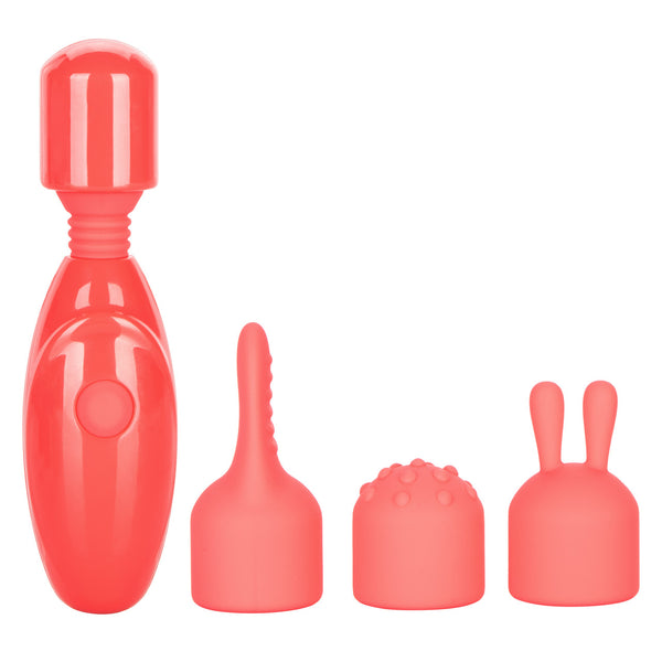 CalExotics Rechargeable Massager Kit - Extreme Toyz Singapore - https://extremetoyz.com.sg - Sex Toys and Lingerie Online Store - Bondage Gear / Vibrators / Electrosex Toys / Wireless Remote Control Vibes / Sexy Lingerie and Role Play / BDSM / Dungeon Furnitures / Dildos and Strap Ons &nbsp;/ Anal and Prostate Massagers / Anal Douche and Cleaning Aide / Delay Sprays and Gels / Lubricants and more...