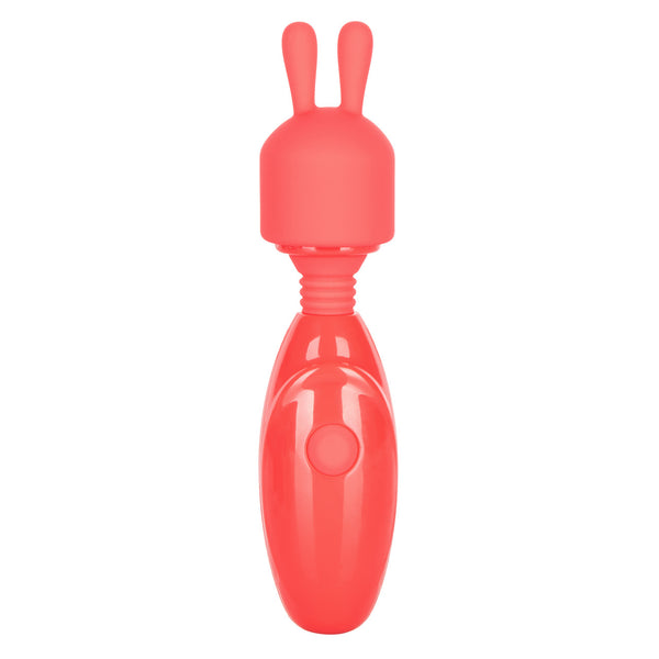 CalExotics Rechargeable Massager Kit - Extreme Toyz Singapore - https://extremetoyz.com.sg - Sex Toys and Lingerie Online Store - Bondage Gear / Vibrators / Electrosex Toys / Wireless Remote Control Vibes / Sexy Lingerie and Role Play / BDSM / Dungeon Furnitures / Dildos and Strap Ons &nbsp;/ Anal and Prostate Massagers / Anal Douche and Cleaning Aide / Delay Sprays and Gels / Lubricants and more...