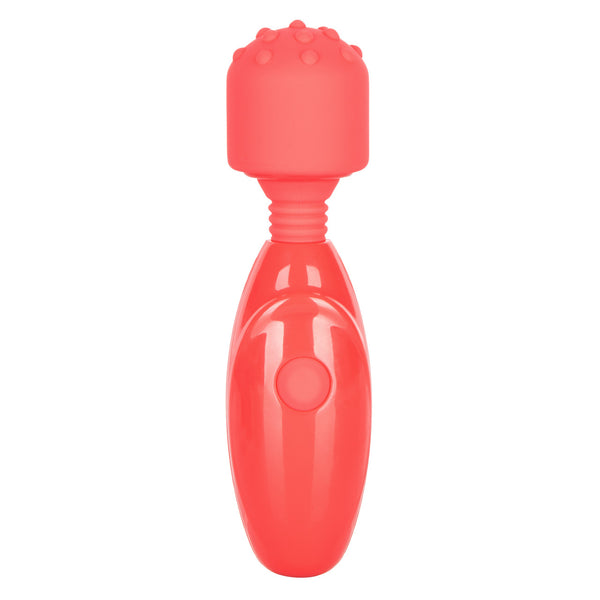 CalExotics Rechargeable Massager Kit - Extreme Toyz Singapore - https://extremetoyz.com.sg - Sex Toys and Lingerie Online Store - Bondage Gear / Vibrators / Electrosex Toys / Wireless Remote Control Vibes / Sexy Lingerie and Role Play / BDSM / Dungeon Furnitures / Dildos and Strap Ons &nbsp;/ Anal and Prostate Massagers / Anal Douche and Cleaning Aide / Delay Sprays and Gels / Lubricants and more...