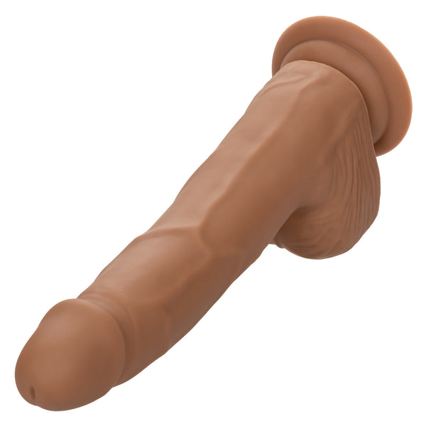 CalExotics Silicone Studs™ 8" Dildo - Brown - Extreme Toyz Singapore - https://extremetoyz.com.sg - Sex Toys and Lingerie Online Store - Bondage Gear / Vibrators / Electrosex Toys / Wireless Remote Control Vibes / Sexy Lingerie and Role Play / BDSM / Dungeon Furnitures / Dildos and Strap Ons &nbsp;/ Anal and Prostate Massagers / Anal Douche and Cleaning Aide / Delay Sprays and Gels / Lubricants and more...