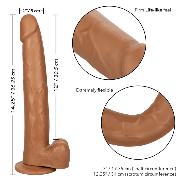 CalExotics Size Queen 12" Dildo - Brown - Extreme Toyz Singapore - https://extremetoyz.com.sg - Sex Toys and Lingerie Online Store - Bondage Gear / Vibrators / Electrosex Toys / Wireless Remote Control Vibes / Sexy Lingerie and Role Play / BDSM / Dungeon Furnitures / Dildos and Strap Ons &nbsp;/ Anal and Prostate Massagers / Anal Douche and Cleaning Aide / Delay Sprays and Gels / Lubricants and more...