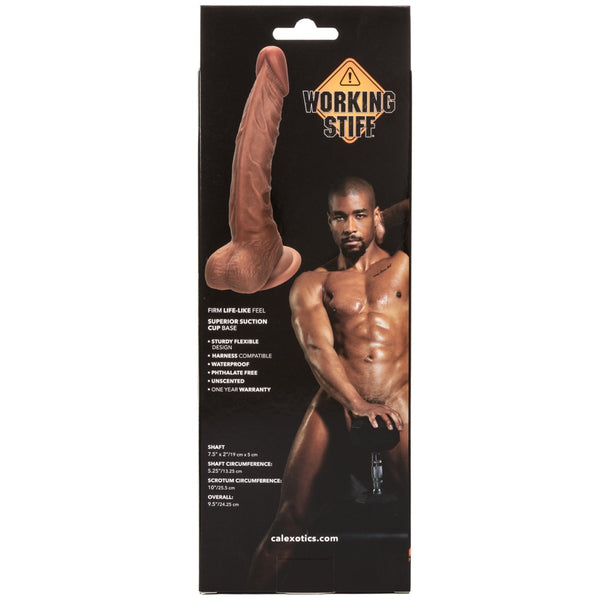 Working Stiff The Personal Trainer Dildo