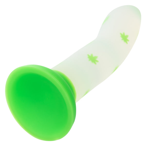 CalExotics Glow Stick Leaf Glow-In-The Dark Silicone Dildo - Extreme Toyz Singapore - https://extremetoyz.com.sg - Sex Toys and Lingerie Online Store - Bondage Gear / Vibrators / Electrosex Toys / Wireless Remote Control Vibes / Sexy Lingerie and Role Play / BDSM / Dungeon Furnitures / Dildos and Strap Ons &nbsp;/ Anal and Prostate Massagers / Anal Douche and Cleaning Aide / Delay Sprays and Gels / Lubricants and more...