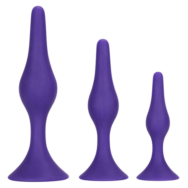 CalExotics Booty Call Booty Silicone Anal Trainer Kit - Purple - Extreme Toyz Singapore - https://extremetoyz.com.sg - Sex Toys and Lingerie Online Store - Bondage Gear / Vibrators / Electrosex Toys / Wireless Remote Control Vibes / Sexy Lingerie and Role Play / BDSM / Dungeon Furnitures / Dildos and Strap Ons &nbsp;/ Anal and Prostate Massagers / Anal Douche and Cleaning Aide / Delay Sprays and Gels / Lubricants and more...