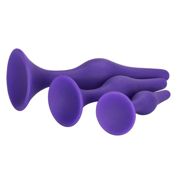 CalExotics Booty Call Booty Silicone Anal Trainer Kit - Purple - Extreme Toyz Singapore - https://extremetoyz.com.sg - Sex Toys and Lingerie Online Store - Bondage Gear / Vibrators / Electrosex Toys / Wireless Remote Control Vibes / Sexy Lingerie and Role Play / BDSM / Dungeon Furnitures / Dildos and Strap Ons &nbsp;/ Anal and Prostate Massagers / Anal Douche and Cleaning Aide / Delay Sprays and Gels / Lubricants and more...