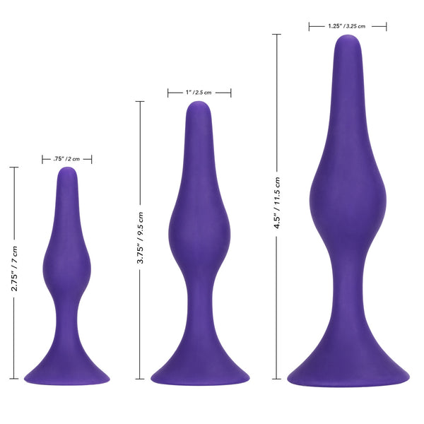 CalExotics Booty Call Booty Silicone Anal Trainer Kit - Purple - Extreme Toyz Singapore - https://extremetoyz.com.sg - Sex Toys and Lingerie Online Store - Bondage Gear / Vibrators / Electrosex Toys / Wireless Remote Control Vibes / Sexy Lingerie and Role Play / BDSM / Dungeon Furnitures / Dildos and Strap Ons &nbsp;/ Anal and Prostate Massagers / Anal Douche and Cleaning Aide / Delay Sprays and Gels / Lubricants and more...