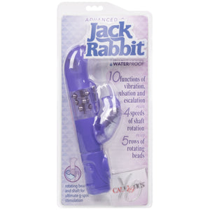 CalExotics Jack Rabbit Advanced G Jack Rabbit Vibrator - Purple - Extreme Toyz Singapore - https://extremetoyz.com.sg - Sex Toys and Lingerie Online Store - Bondage Gear / Vibrators / Electrosex Toys / Wireless Remote Control Vibes / Sexy Lingerie and Role Play / BDSM / Dungeon Furnitures / Dildos and Strap Ons &nbsp;/ Anal and Prostate Massagers / Anal Douche and Cleaning Aide / Delay Sprays and Gels / Lubricants and more...