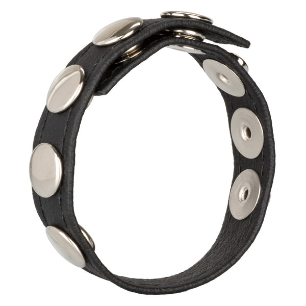 CalExotics Rings! Leather Multi-Snap Ring - Extreme Toyz Singapore - https://extremetoyz.com.sg - Sex Toys and Lingerie Online Store - Bondage Gear / Vibrators / Electrosex Toys / Wireless Remote Control Vibes / Sexy Lingerie and Role Play / BDSM / Dungeon Furnitures / Dildos and Strap Ons &nbsp;/ Anal and Prostate Massagers / Anal Douche and Cleaning Aide / Delay Sprays and Gels / Lubricants and more...