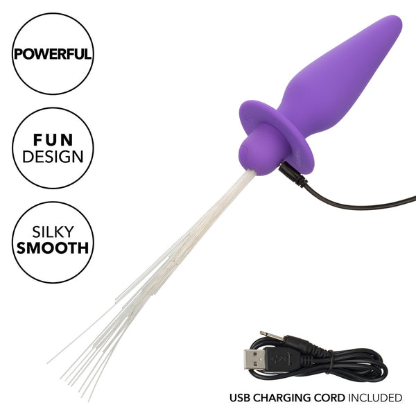 CalExotics Southern Lights Vibrating Light Up Anal Probe - Purple - Extreme Toyz Singapore - https://extremetoyz.com.sg - Sex Toys and Lingerie Online Store - Bondage Gear / Vibrators / Electrosex Toys / Wireless Remote Control Vibes / Sexy Lingerie and Role Play / BDSM / Dungeon Furnitures / Dildos and Strap Ons &nbsp;/ Anal and Prostate Massagers / Anal Douche and Cleaning Aide / Delay Sprays and Gels / Lubricants and more...