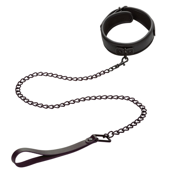 CalExotics Nocturnal Collection Heavy Duty Collar & Leash - Extreme Toyz Singapore - https://extremetoyz.com.sg - Sex Toys and Lingerie Online Store - Bondage Gear / Vibrators / Electrosex Toys / Wireless Remote Control Vibes / Sexy Lingerie and Role Play / BDSM / Dungeon Furnitures / Dildos and Strap Ons &nbsp;/ Anal and Prostate Massagers / Anal Douche and Cleaning Aide / Delay Sprays and Gels / Lubricants and more...