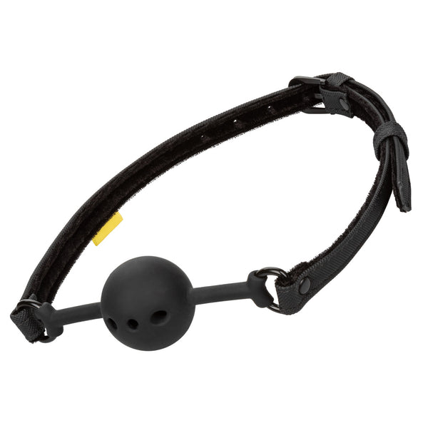 CalExotics Boundless Breathable Ball Gag  - Extreme Toyz Singapore - https://extremetoyz.com.sg - Sex Toys and Lingerie Online Store - Bondage Gear / Vibrators / Electrosex Toys / Wireless Remote Control Vibes / Sexy Lingerie and Role Play / BDSM / Dungeon Furnitures / Dildos and Strap Ons  / Anal and Prostate Massagers / Anal Douche and Cleaning Aide / Delay Sprays and Gels / Lubricants and more...