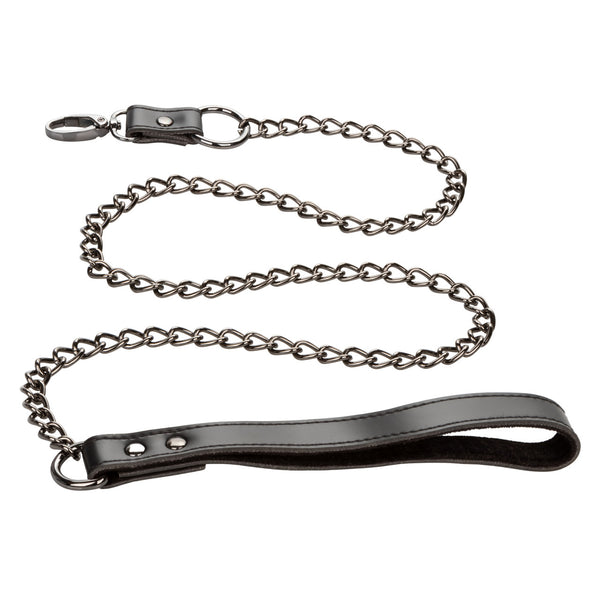 CalExotics Euphoria Collection Collar with Chain Leash - Extreme Toyz Singapore - https://extremetoyz.com.sg - Sex Toys and Lingerie Online Store - Bondage Gear / Vibrators / Electrosex Toys / Wireless Remote Control Vibes / Sexy Lingerie and Role Play / BDSM / Dungeon Furnitures / Dildos and Strap Ons &nbsp;/ Anal and Prostate Massagers / Anal Douche and Cleaning Aide / Delay Sprays and Gels / Lubricants and more...