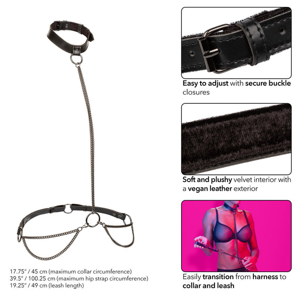 CalExotics Euphoria Collection Chain Halter/Collar & Leash - Extreme Toyz Singapore - https://extremetoyz.com.sg - Sex Toys and Lingerie Online Store - Bondage Gear / Vibrators / Electrosex Toys / Wireless Remote Control Vibes / Sexy Lingerie and Role Play / BDSM / Dungeon Furnitures / Dildos and Strap Ons &nbsp;/ Anal and Prostate Massagers / Anal Douche and Cleaning Aide / Delay Sprays and Gels / Lubricants and more...