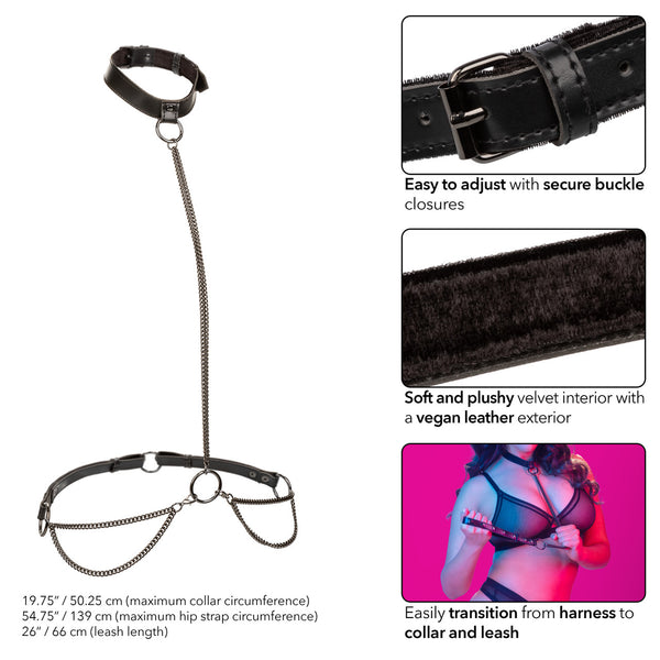 CalExotics Euphoria Collection Plus Size Chain Halter/Collar & Leash - Extreme Toyz Singapore - https://extremetoyz.com.sg - Sex Toys and Lingerie Online Store - Bondage Gear / Vibrators / Electrosex Toys / Wireless Remote Control Vibes / Sexy Lingerie and Role Play / BDSM / Dungeon Furnitures / Dildos and Strap Ons &nbsp;/ Anal and Prostate Massagers / Anal Douche and Cleaning Aide / Delay Sprays and Gels / Lubricants and more...