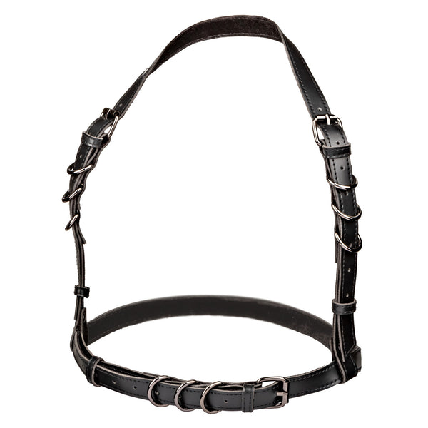 CalExotics Euphoria Collection Plus Size Halter Buckle Harness - Extreme Toyz Singapore - https://extremetoyz.com.sg - Sex Toys and Lingerie Online Store - Bondage Gear / Vibrators / Electrosex Toys / Wireless Remote Control Vibes / Sexy Lingerie and Role Play / BDSM / Dungeon Furnitures / Dildos and Strap Ons &nbsp;/ Anal and Prostate Massagers / Anal Douche and Cleaning Aide / Delay Sprays and Gels / Lubricants and more...
