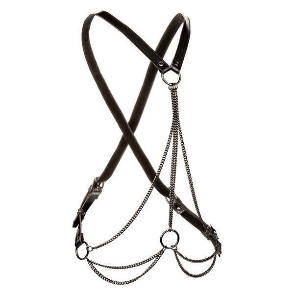 CalExotics Euphoria Collection Plus Size Multi Chain Harness - Extreme Toyz Singapore - https://extremetoyz.com.sg - Sex Toys and Lingerie Online Store - Bondage Gear / Vibrators / Electrosex Toys / Wireless Remote Control Vibes / Sexy Lingerie and Role Play / BDSM / Dungeon Furnitures / Dildos and Strap Ons &nbsp;/ Anal and Prostate Massagers / Anal Douche and Cleaning Aide / Delay Sprays and Gels / Lubricants and more...