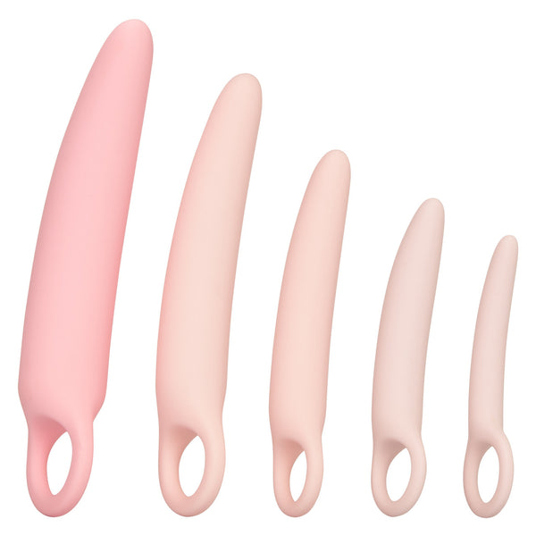 CalExotics Inspire Silicone Dilator 5-Piece Kit - Extreme Toyz Singapore - https://extremetoyz.com.sg - Sex Toys and Lingerie Online Store - Bondage Gear / Vibrators / Electrosex Toys / Wireless Remote Control Vibes / Sexy Lingerie and Role Play / BDSM / Dungeon Furnitures / Dildos and Strap Ons &nbsp;/ Anal and Prostate Massagers / Anal Douche and Cleaning Aide / Delay Sprays and Gels / Lubricants and more...