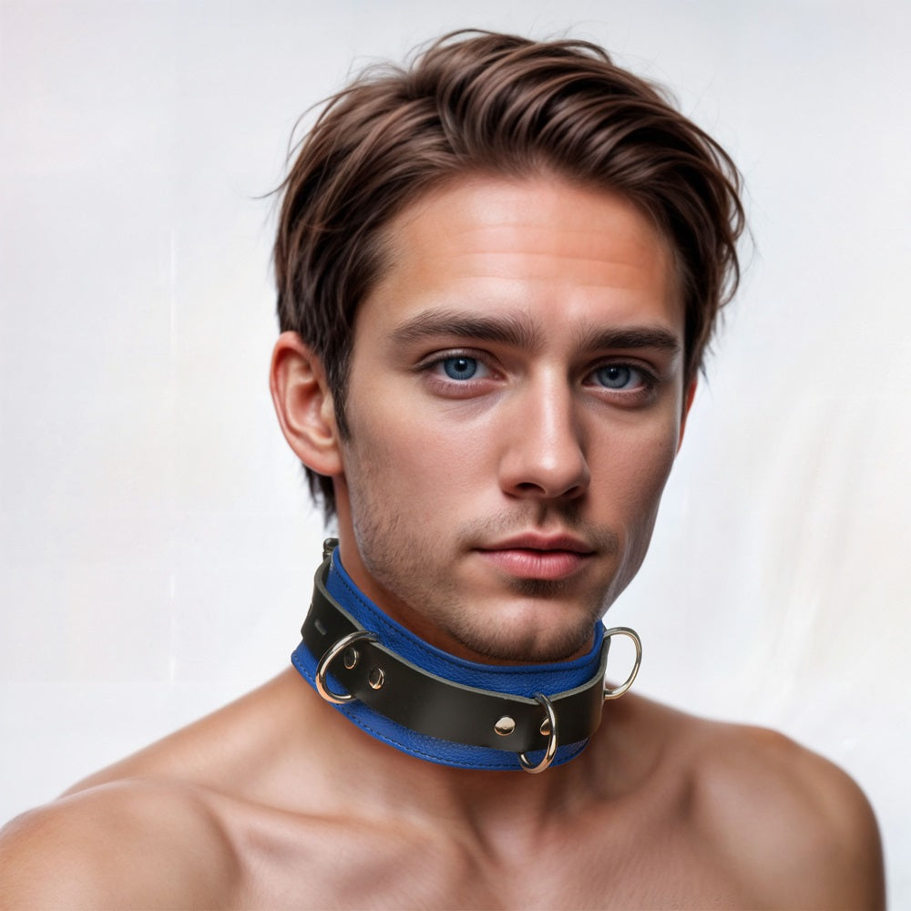 Leather Blue and Black Deluxe Locking Collar