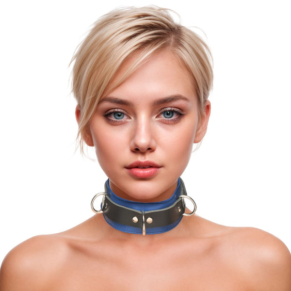 Leather Blue and Black Deluxe Locking Collar