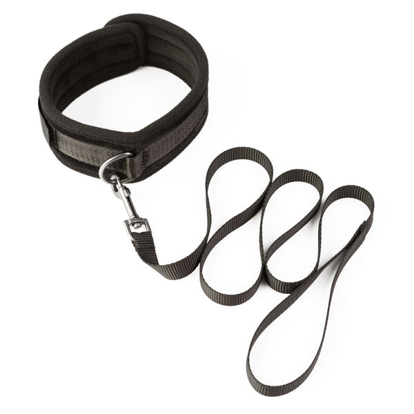 Take the Lead Padded Neck Collar and Leash